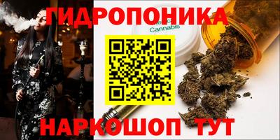 ГАЛЛЮЦИНОГЕННЫЕ ГРИБЫ Камышлов