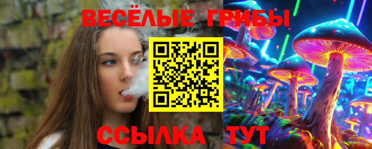 Галлюциногенные грибы Psilocybe Дербент